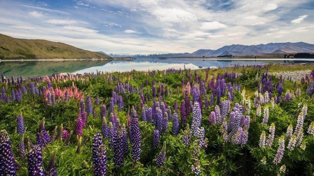 Lake Tekapo Scenic Resort المظهر الخارجي الصورة